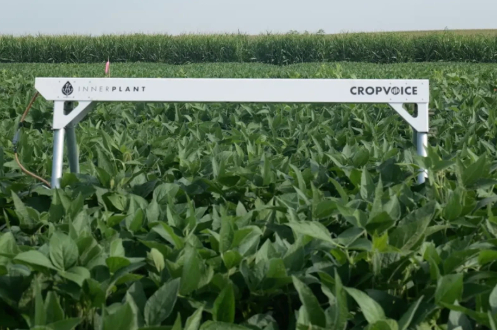 2GTHRWEGROW's tweet photo. #TechTuesday Iowa Farmers Test Disease Detection Technology to Stay Ahead of Threats
https://t.co/zABR9WZ4fF https://t.co/oV233U6mDB