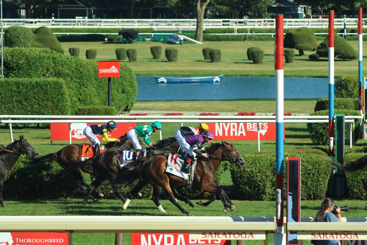 America’s Pastime Stables tweet media