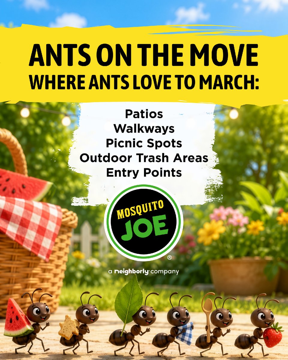 mosquitojoe's tweet photo. Tiny legs. Big summer energy. 🐜 Ants may be small, but they sure know how to make an entrance around patios, walkways, picnic spots and outdoor gathering areas. If ant activity starts taking over the fun, Mosquito Joe® can help control outdoor pests so Outside is Fun... https://t.co/hu7wLRZh4t