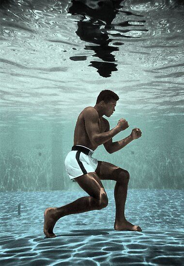 RootsOfCombat's tweet photo. underwater trainer https://t.co/vsTZXaWFNr