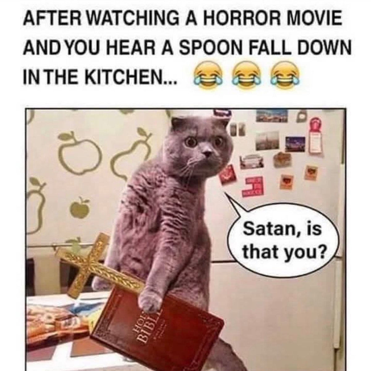 Titmousie2's tweet photo. #WontGetFooledAgainBy

that spoon falling in the kitchen🤣🥄 https://t.co/DiHvlZQ06p