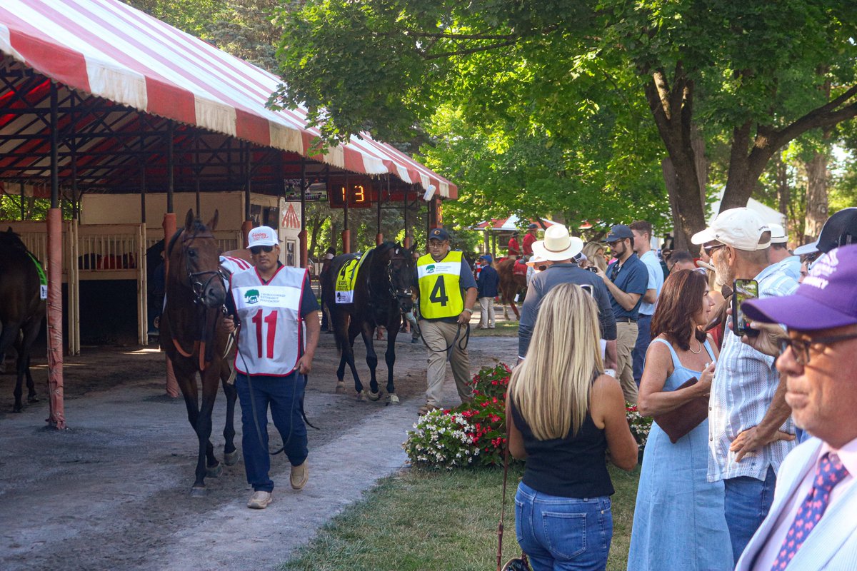 America’s Pastime Stables tweet media