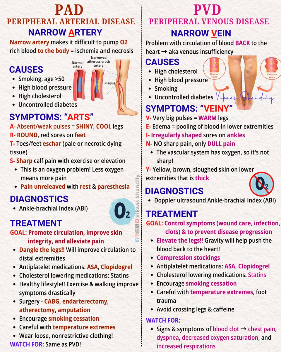 VikaasShandily's tweet photo. PAD vs PVD: Peripheral Arterial Disease vs Peripheral Venous Disease 
#Cardiovascular #NCLEX #medical #VikaasShandily https://t.co/bszlll1L3V