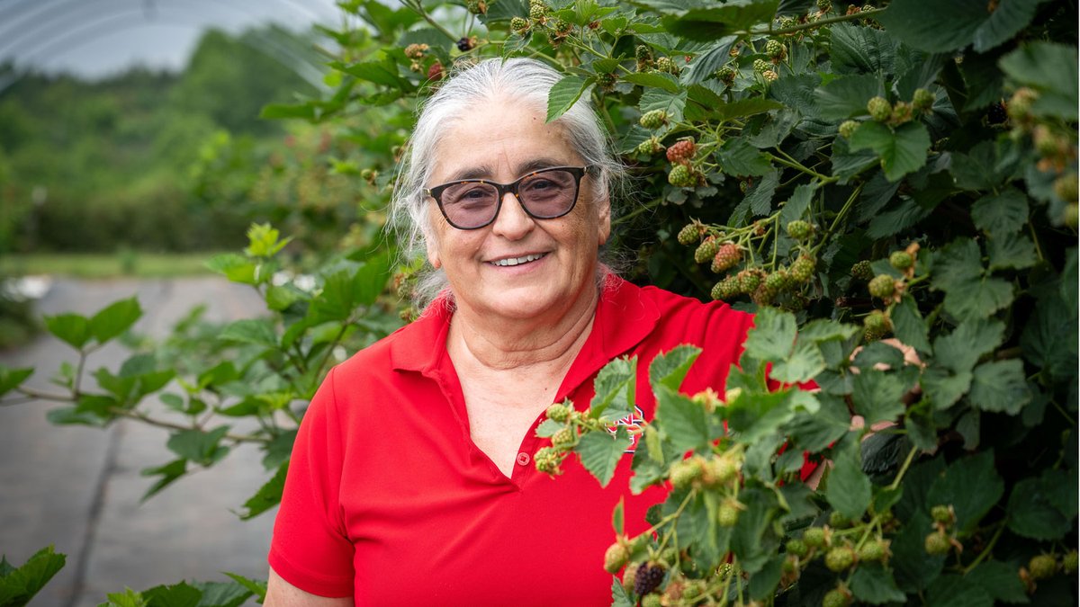 NC State College of Agriculture and Life Sciences tweet media