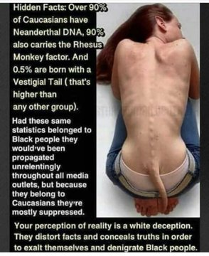 Bemerald2625's tweet photo. @sarabaramania @WHITE_TakingLs keep projecting, blizzard baboon retard 🤣 https://t.co/ubu1vanOJ1