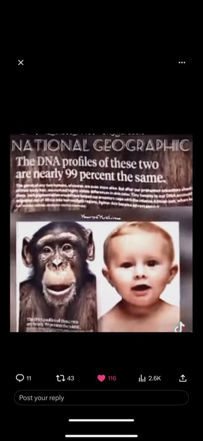 Bemerald2625's tweet photo. @sarabaramania @WHITE_TakingLs keep projecting, blizzard baboon retard 🤣 https://t.co/ubu1vanOJ1