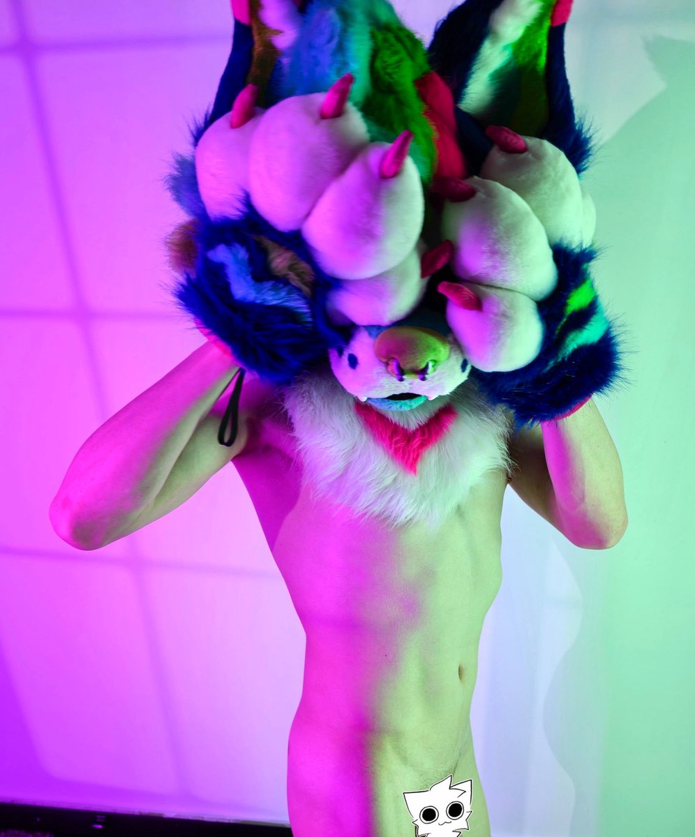 cat_coded tweet picture