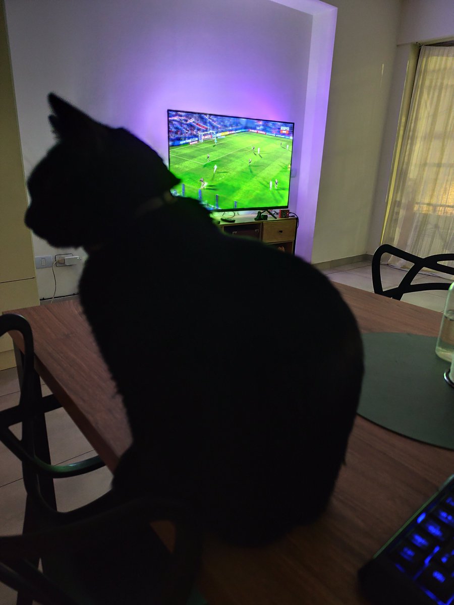 EmaElVikingo's tweet photo. Acá andamos mirando el partido de la sudamericana con Roberta. https://t.co/lvMTJy3jog
