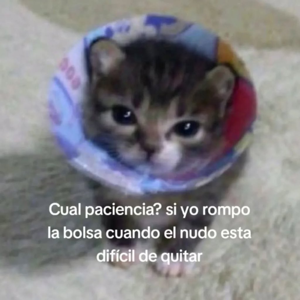 MundoDeBigotes's tweet photo. https://t.co/Vypt0IFyZ0