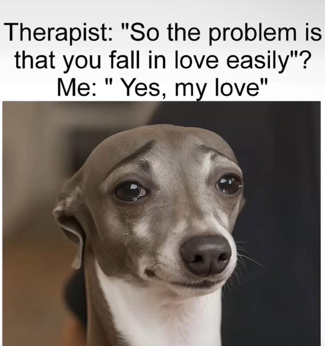 maestramarney's tweet photo. 😆🤣😝 https://t.co/7t8KyYNXnN