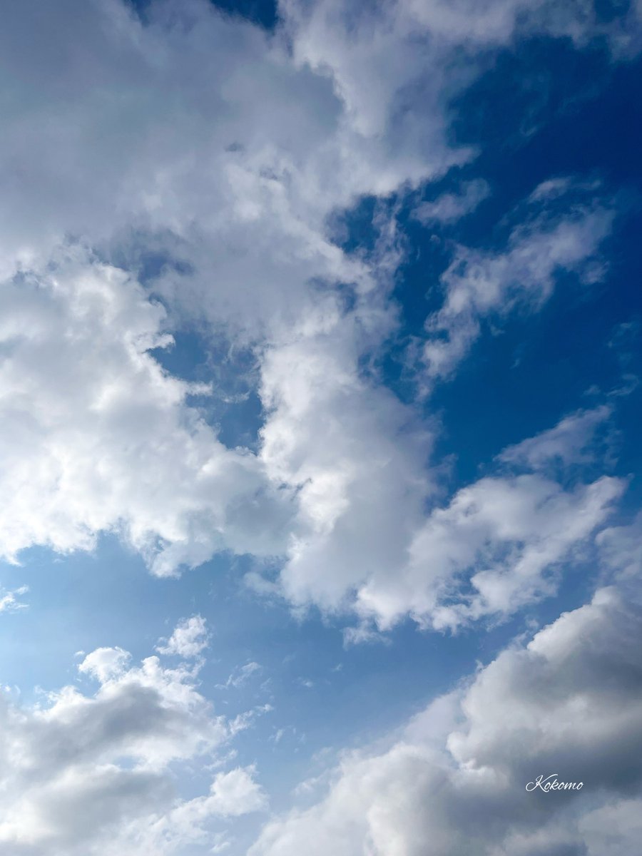 kokomo5951's tweet photo. 2026年7月29日
水曜日

おはようございます

昨日の大地震から
長い一夜が明け
被害状況が少しずつ
明らかになってきましたね
被害が最小限になることを
心からお祈りします
被災された皆様
どうぞご安全に
お過ごしください

今できることを
ひとつずつ
を心がけて
過ごしたい一日です

#イマソラ https://t.co/Q0cLHq1KXi