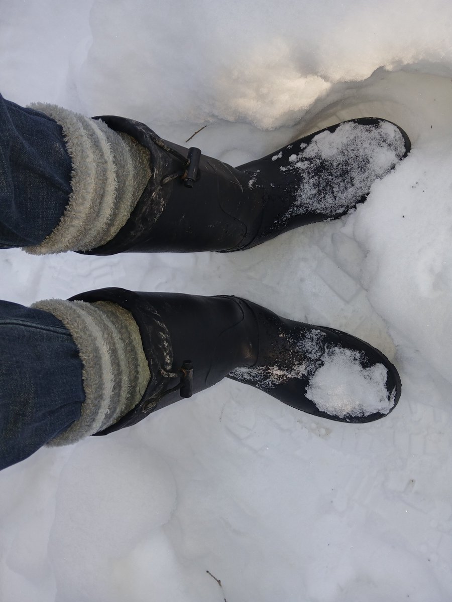 fuzzysockboy's tweet photo. #fuzzysocks #fuzzysocksfetish https://t.co/1g1x8gyKHd