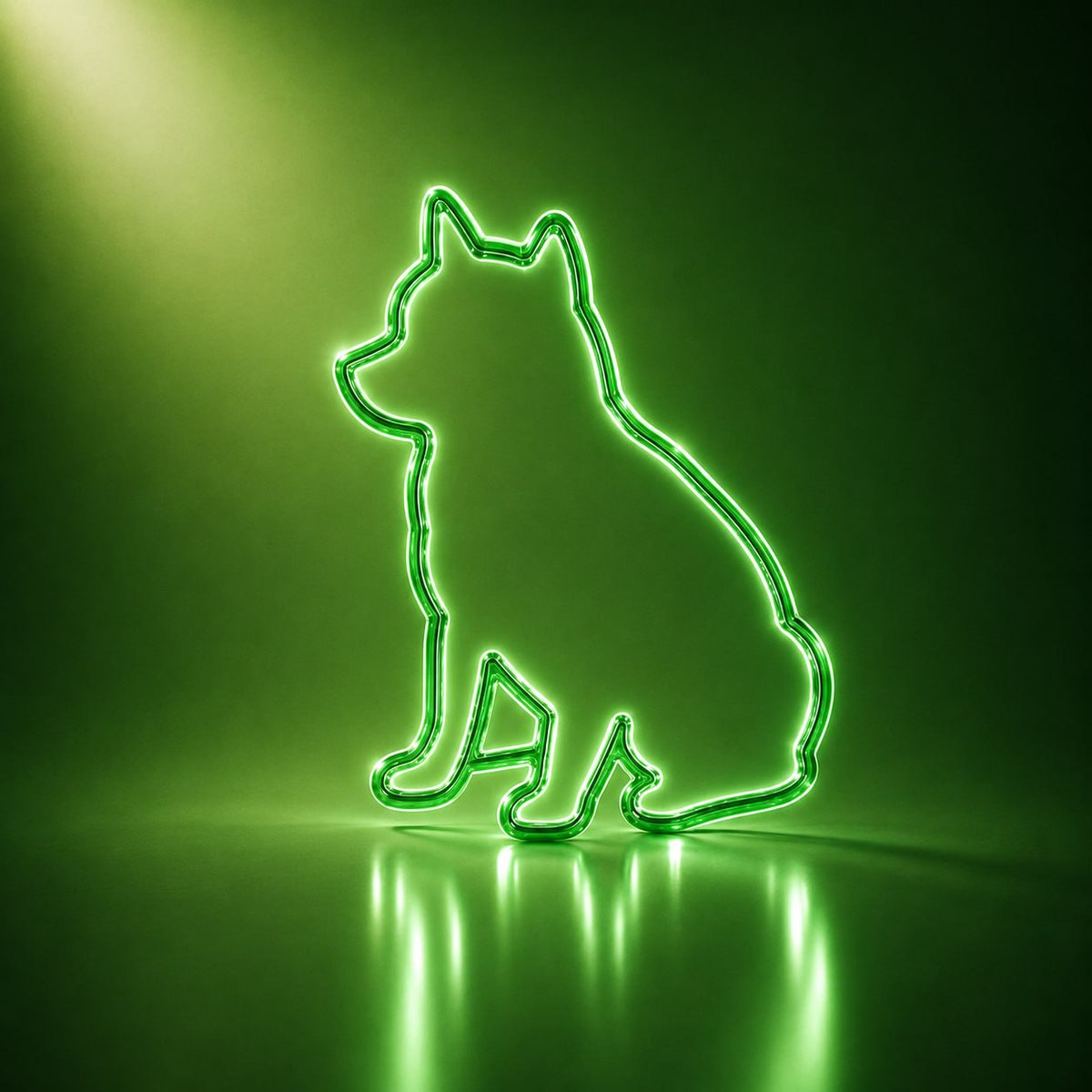 ponsdog_cto's tweet photo. $PONSDOG = Aura. https://t.co/M9tD33zbHT
