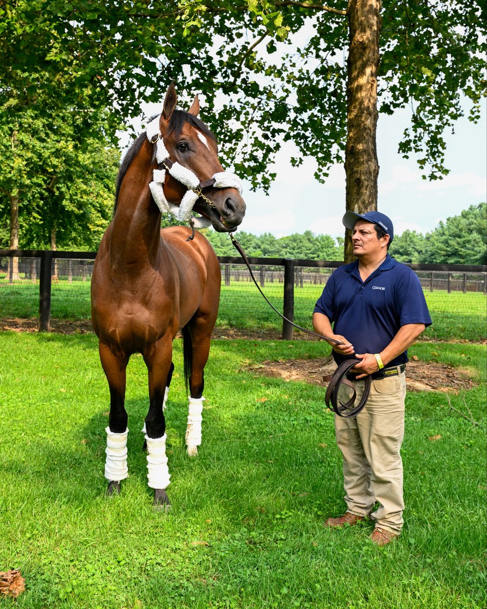 EclipseTBP's tweet photo. It’s bittersweet to know Journalism’s racing days are over, but we’re so proud he’s safe @coolmoreamerica where he’ll now prepare for his next chapter as a stallion.  We know he’ll live a life fit for a King and be given every opportunity to be an influential sire. #BelieveBig https://t.co/IJsKu54eN3