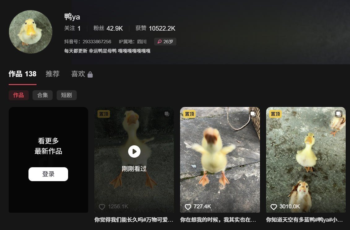 ithinkimsic's tweet photo. everyone is talking about ya.
if you've been scrolling douyin or rednote lately, there's a good chance you've already seen this little duck.
ya isn't famous because of a movie, a brand, or a marketing campaign.
it happened the same way the internet creates its best mascots.
people fell in love with the tiny walk, the curious face, and the way it runs toward the camera like it already knows you.
millions of views later, ya has become one of the most recognizable animal accounts in china.
fans have even started calling it a lucky duck, sharing its videos before exams, work, or important days as a small good luck ritual.