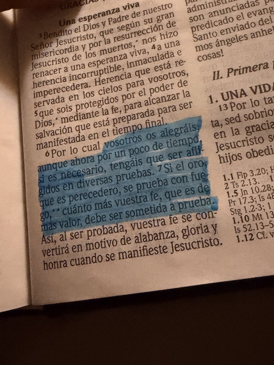 BrodaxØficial🇪🇸☦️ tweet media