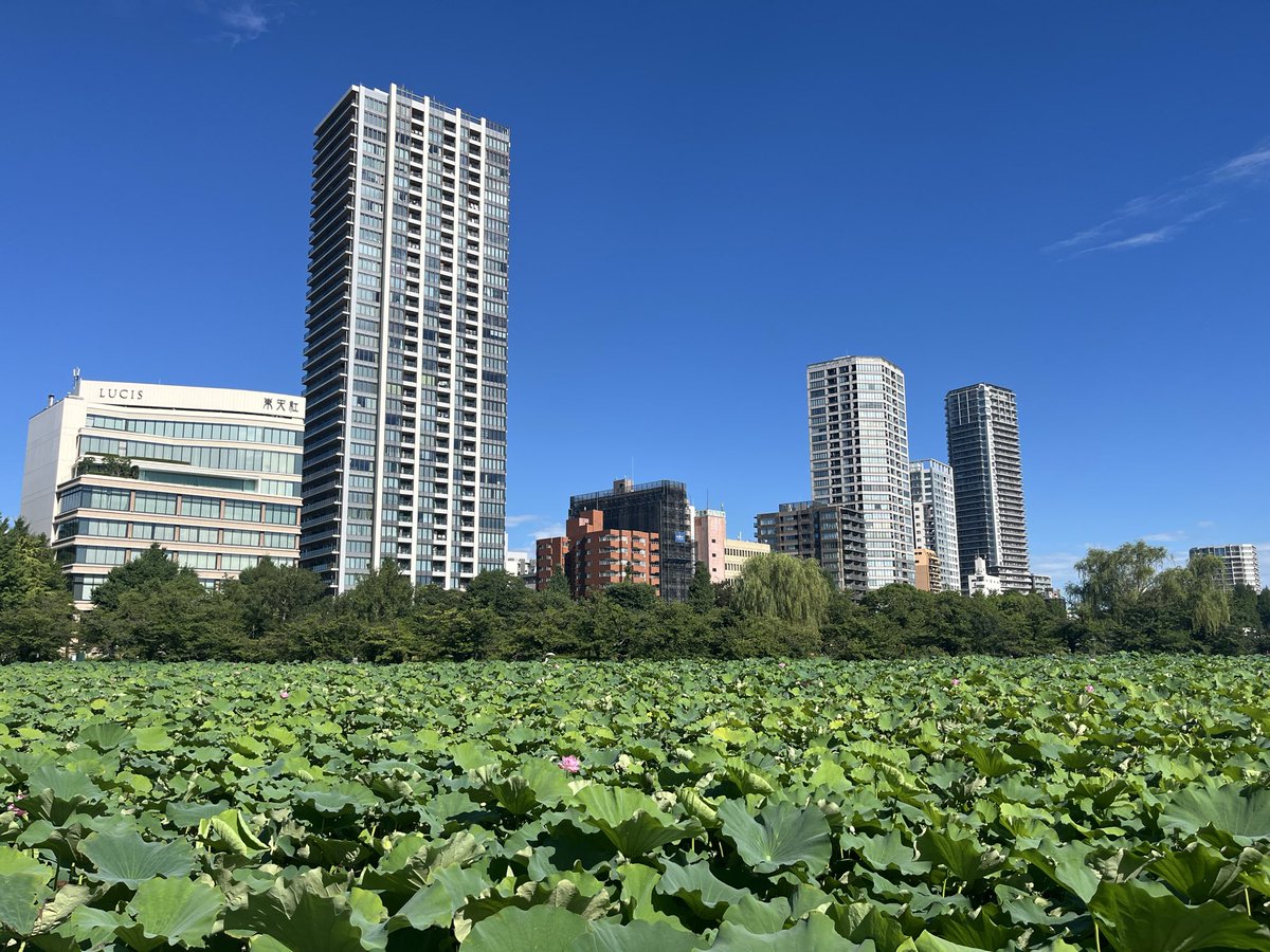 tonulotte's tweet photo. 早起きチャレンジ5 https://t.co/WWHPrgWcPy