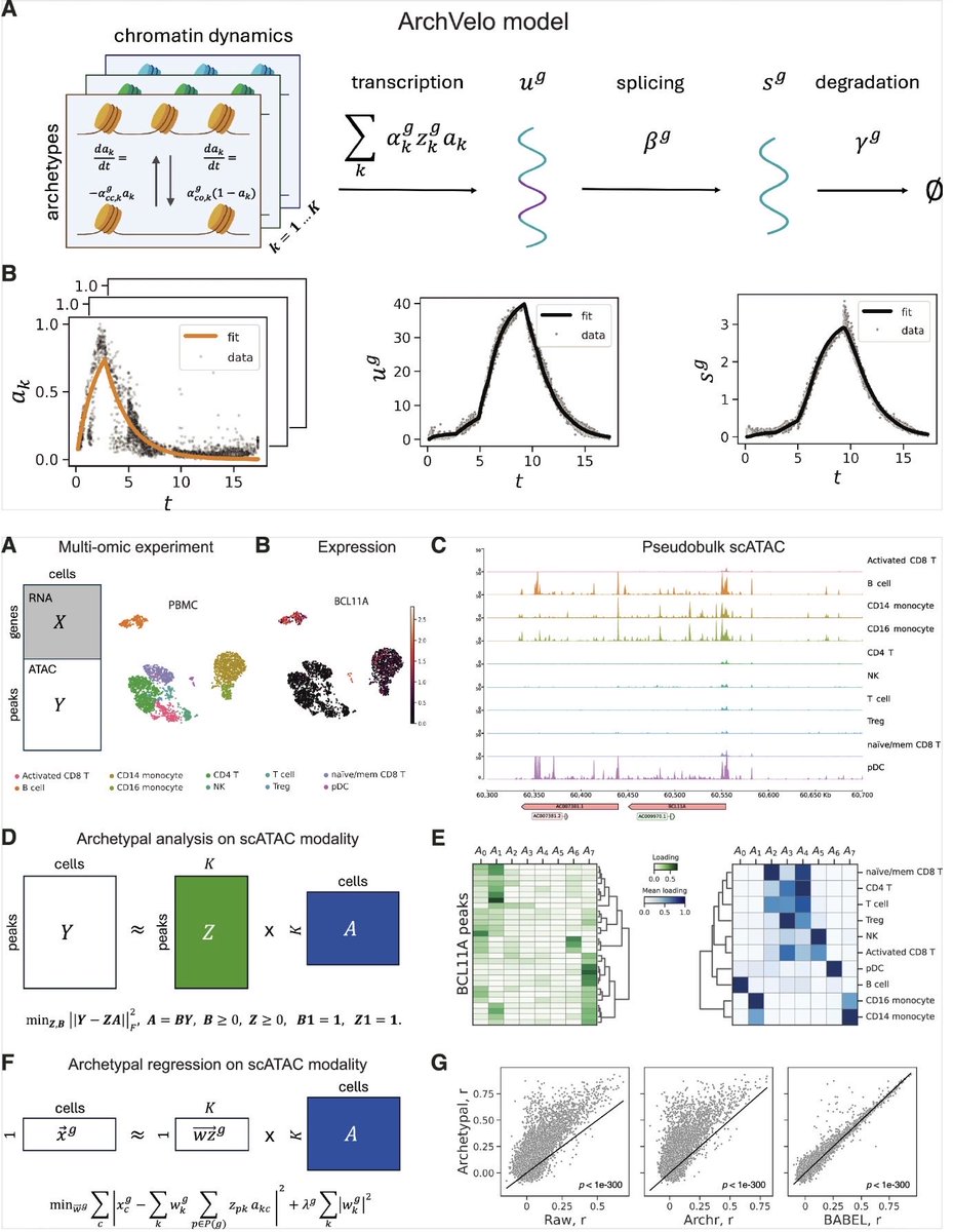 razoralign's tweet photo. ArchVelo: archetypal velocity modeling for single-cell multi-omic trajectories https://t.co/iQ99o86Qv2 https://t.co/VRkdTAMmgC