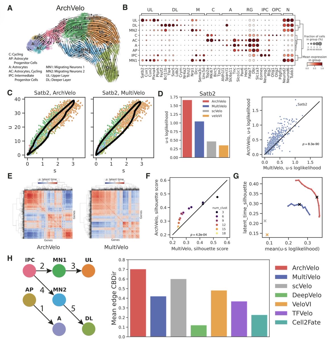 razoralign's tweet photo. ArchVelo: archetypal velocity modeling for single-cell multi-omic trajectories https://t.co/iQ99o86Qv2 https://t.co/VRkdTAMmgC
