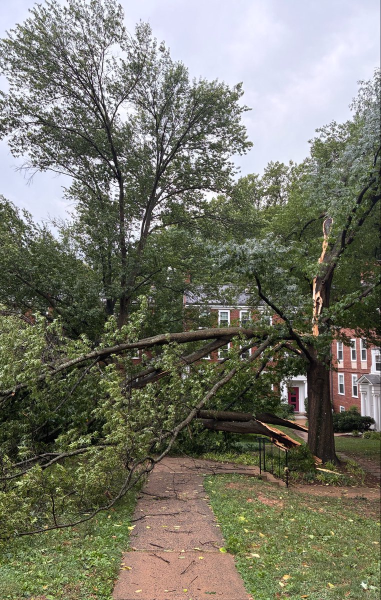 hgil's tweet photo. McLean Gardens took a beating in that storm. Maybe a microburst?

@capitalweather https://t.co/01zIH0y23d