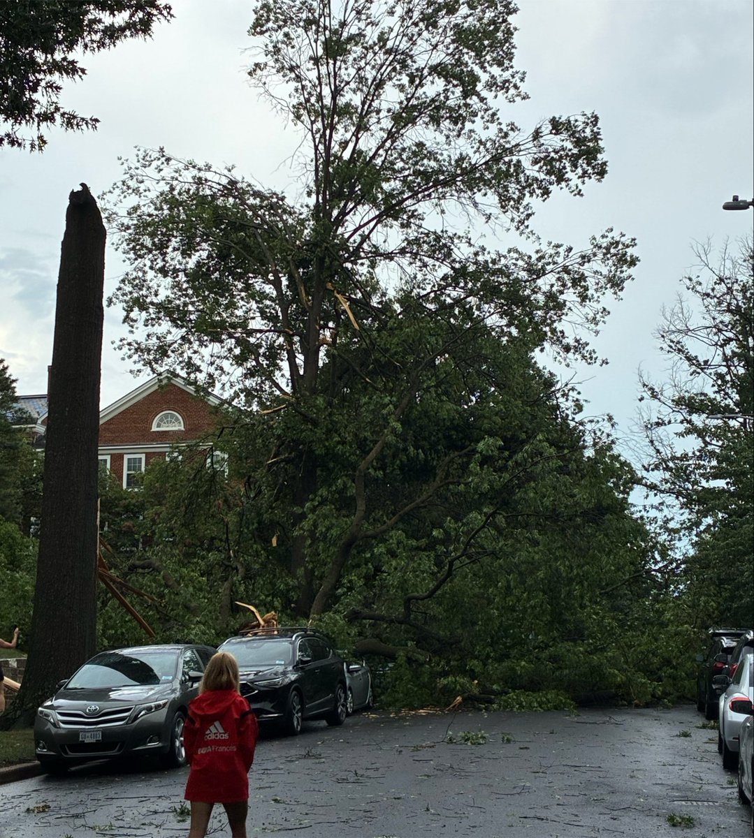 hgil's tweet photo. McLean Gardens took a beating in that storm. Maybe a microburst?

@capitalweather https://t.co/01zIH0y23d