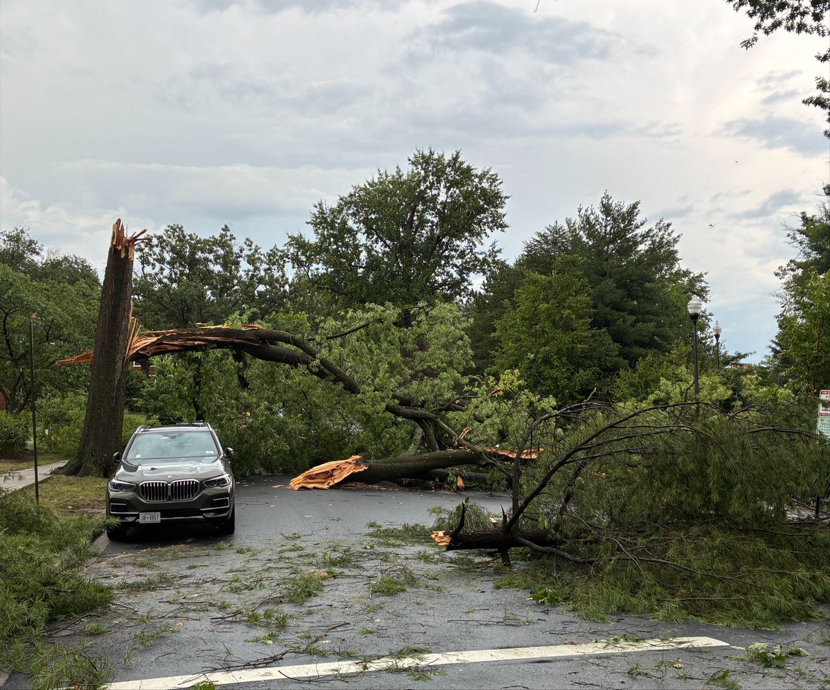 hgil's tweet photo. McLean Gardens took a beating in that storm. Maybe a microburst?

@capitalweather https://t.co/01zIH0y23d
