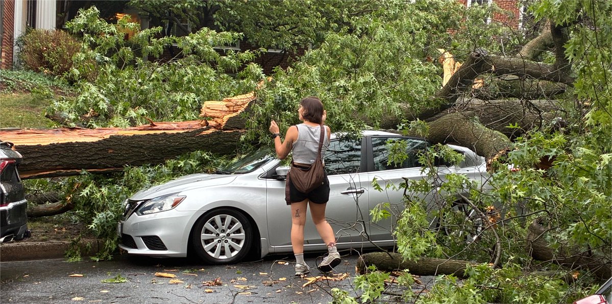 hgil's tweet photo. McLean Gardens took a beating in that storm. Maybe a microburst?

@capitalweather https://t.co/01zIH0y23d