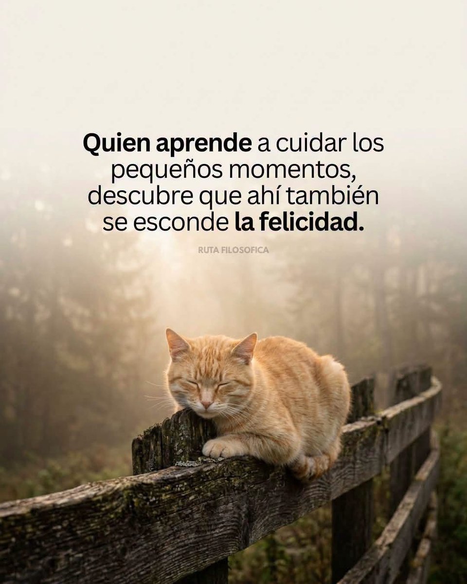 enconexionreal's tweet photo. El disfrute de la vida esta en los momentos más simples https://t.co/zypJjDZKvK