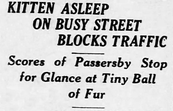yesterdaysprint tweet picture