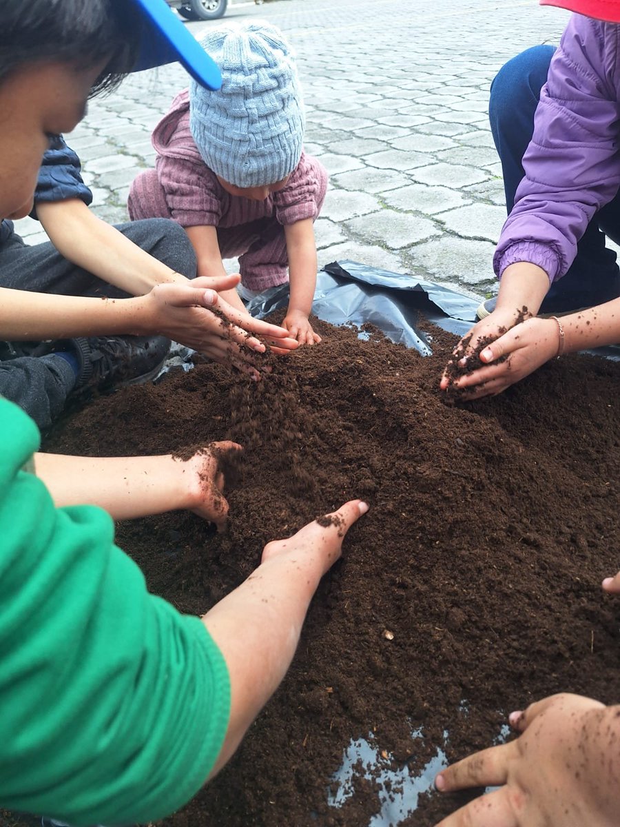 Agricultura_CZ3's tweet photo. #Chimborazo | En el cantón #Penipe, técnicos territoriales realizaron un taller práctico de elaboración de semilleros hortícolas dirigido a niños y niñas de la parroquia Puela, como una actividad para el desarrollo de sus habilidades.👧🌱
#GobiernoDelEcuador https://t.co/N08NevnnfB