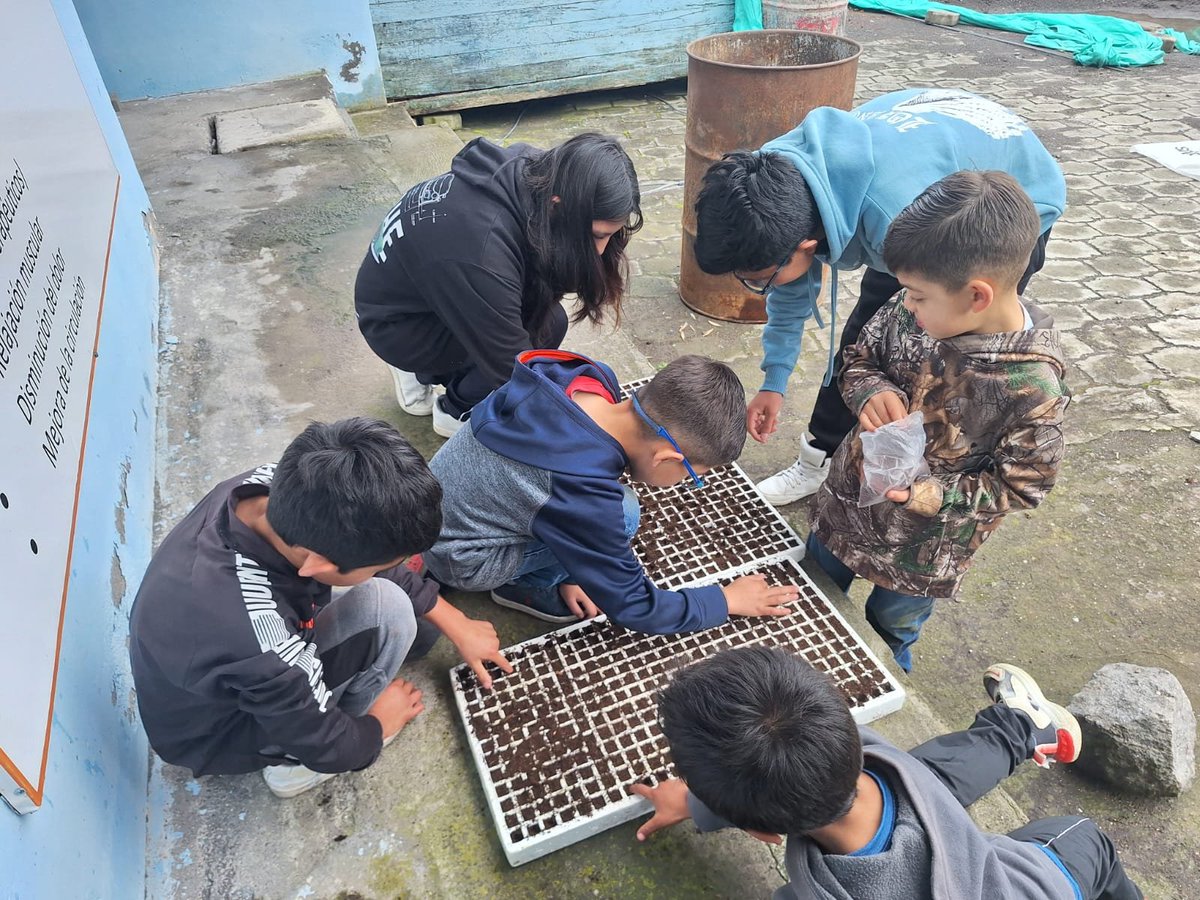 Agricultura_CZ3's tweet photo. #Chimborazo | En el cantón #Penipe, técnicos territoriales realizaron un taller práctico de elaboración de semilleros hortícolas dirigido a niños y niñas de la parroquia Puela, como una actividad para el desarrollo de sus habilidades.👧🌱
#GobiernoDelEcuador https://t.co/N08NevnnfB
