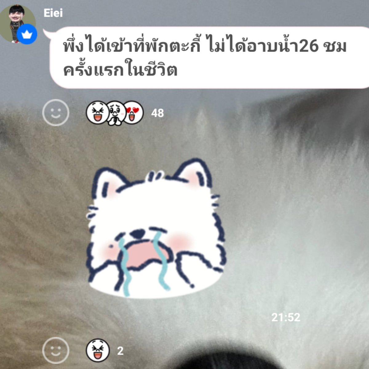 g0menchan's tweet photo. น้องม่อนรึเปล่าลูก https://t.co/G3HvHNaGeR
