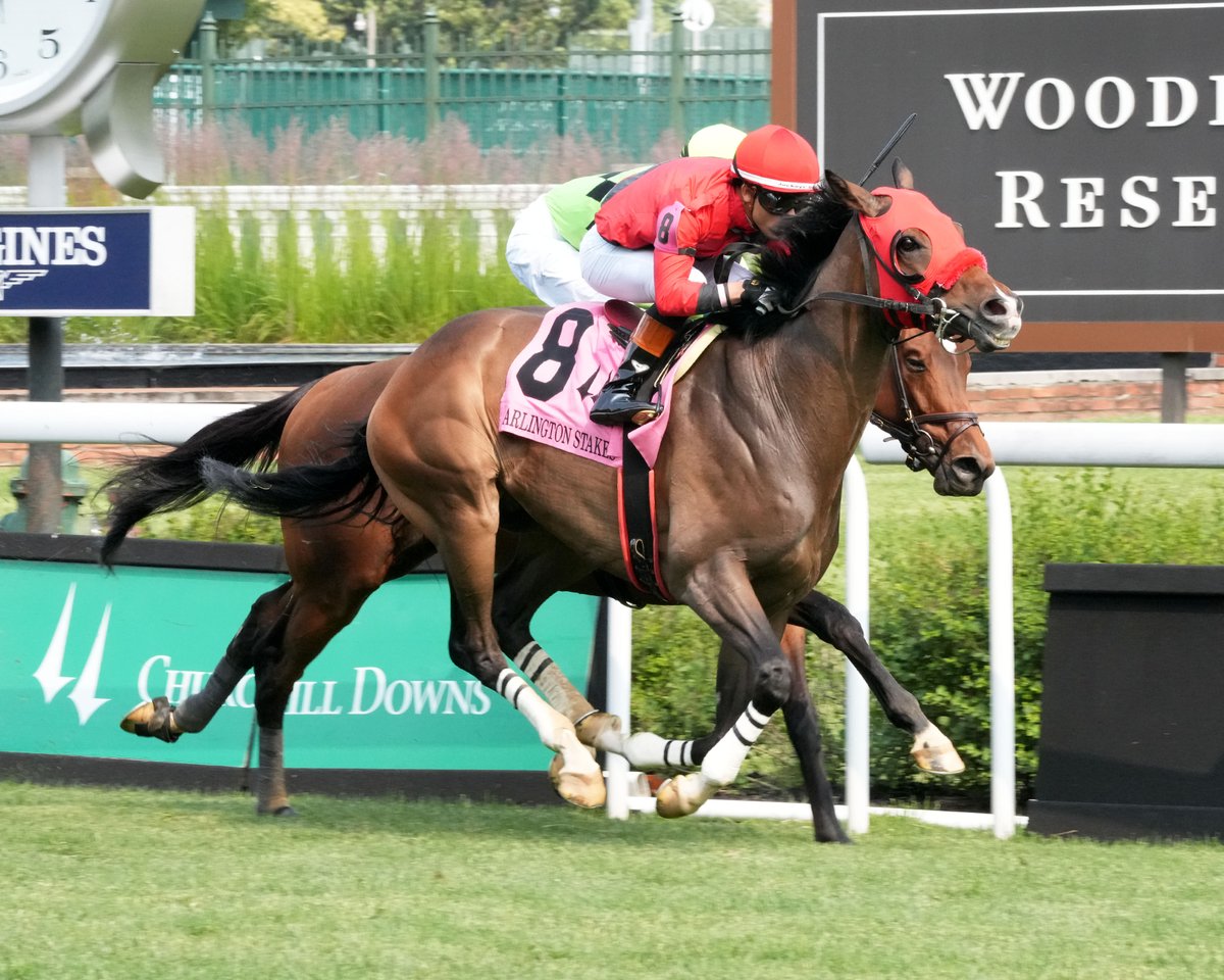 KyHBPA's tweet photo. Trainer @BrianKnippenber says plan right now is for Carl Pollard's Mercante to run in @EllisParkRacing's $300K Green River Island Sunday rather than Sat's Arlington Million @ColonialDowns. @flothejock named to ride in both spots. 📸@CoadyMedia pix of Mercante winning last year's G3 Arlington & most recently finishing 2nd to Lagynos in G2 Wise Dan.