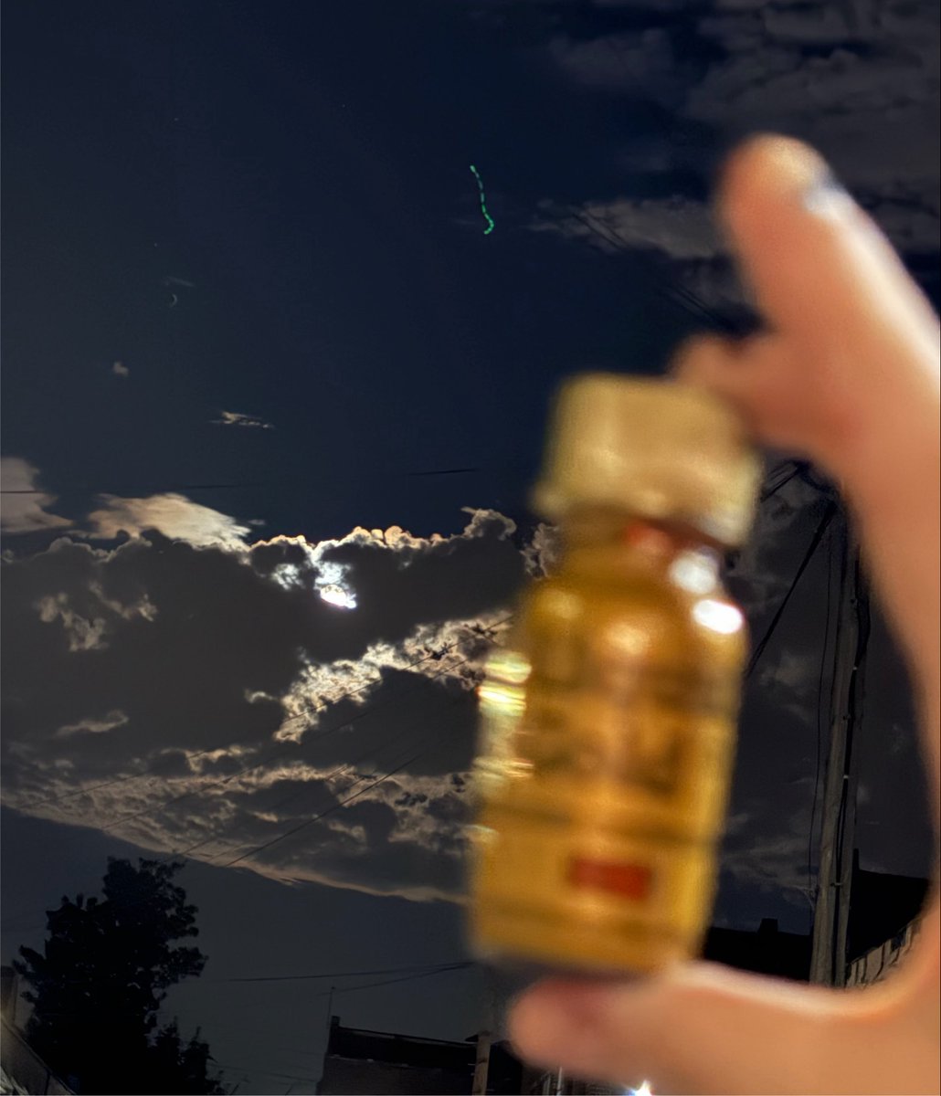 mangoed02122's tweet photo. here are my poppers against the lovely night sky https://t.co/AOuNUVLUhI