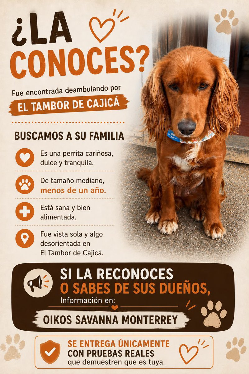 MONYRODRIGUEZOF's tweet photo. 🆘 Difundir por favor 🙏🏼  perrita encontrada en CAJICÀ
@losbuscamos_col  
@andreanimalidad @piedrahitangela @juliherrerap @Marce_Tabares @margaritavela @MarkLeeOficial  @camilochara @AleGiraldoP https://t.co/gAddCyG4SI