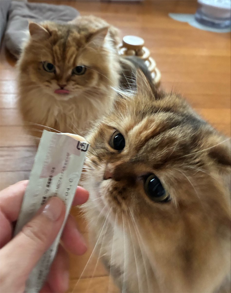 はい！どうぞ〜☺️♡