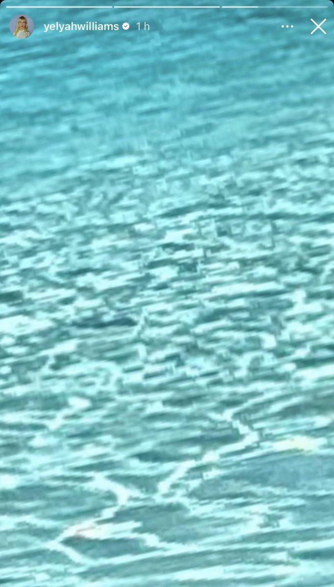 paramorebrasil's tweet photo. Keep telling you the water's fine... 

Novo story de Hayley 👀 https://t.co/lw8OBqOV6A