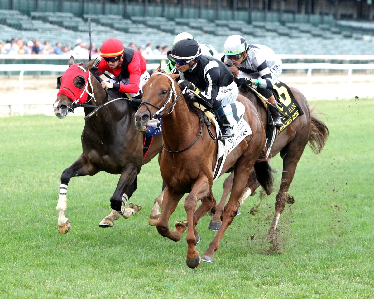 KyHBPA's tweet photo. Trainer @BrianKnippenber says plan right now is for Carl Pollard's Mercante to run in @EllisParkRacing's $300K Green River Island Sunday rather than Sat's Arlington Million @ColonialDowns. @flothejock named to ride in both spots. 📸@CoadyMedia pix of Mercante winning last year's G3 Arlington & most recently finishing 2nd to Lagynos in G2 Wise Dan.