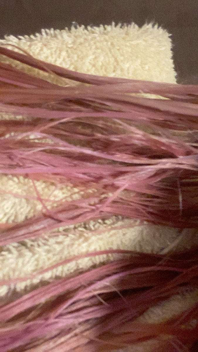 okeltoky's tweet photo. cabelo rosa #cabelo #rosa #cabelorosa https://t.co/PTxLN13kni