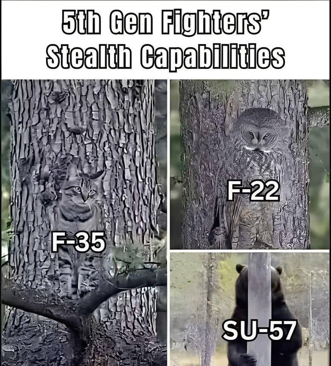 motorcycle_cat's tweet photo. 『ロシア最新鋭ステルス機Su-57がモスクワ近郊で墜落─「味方の誤射」か機体不具合か、錯綜する情報』…数日前のニュースだが続報が気になる。ウクライナとの戦争で続々と剥がれ落ちるロシア兵器のメッキ。外人の「カタログスペック詐欺」風刺は良いセンスしてるな。 https://t.co/6AI9xo6lTJ