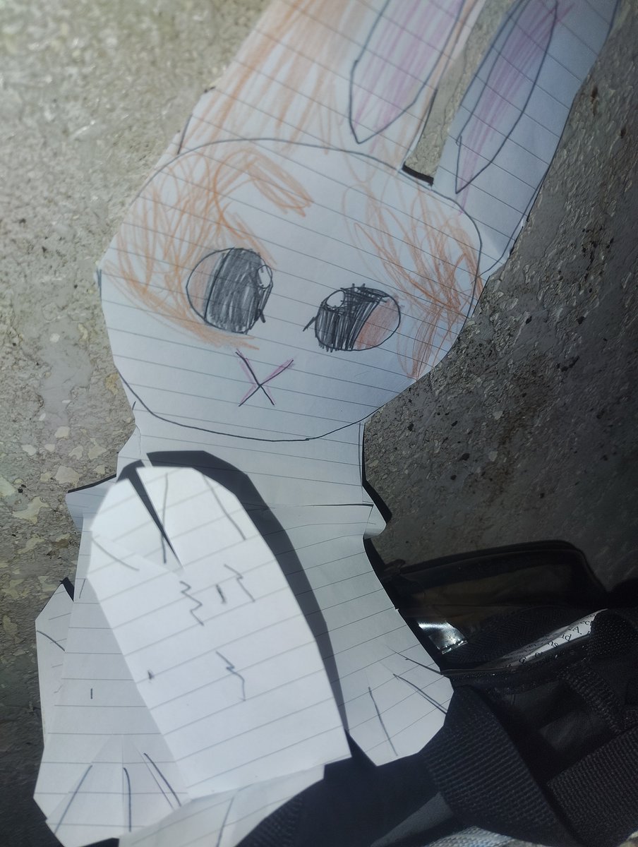 CupcakeFri81178's tweet photo. Meet My Paper Cat Rocky (Btw I make people Pets!! :3) I got a TikTok name Cupcakeandcandy5799 on Tiktok https://t.co/DDgaZLtBBS