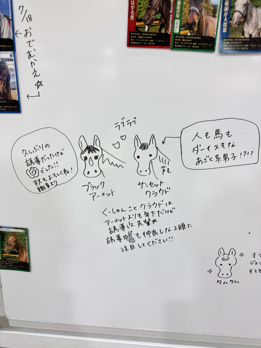 vincemacmahojr's tweet photo. 日曜日の福島競馬場の誘導馬紹介コーナー
サンライズアキレスの綺麗な芦毛のキープにはこんな苦労が…。ミニチュアホースのタムタムもジョッキーベイビーズ予選に向けて気合い入れています。 https://t.co/1TJC9rxPok