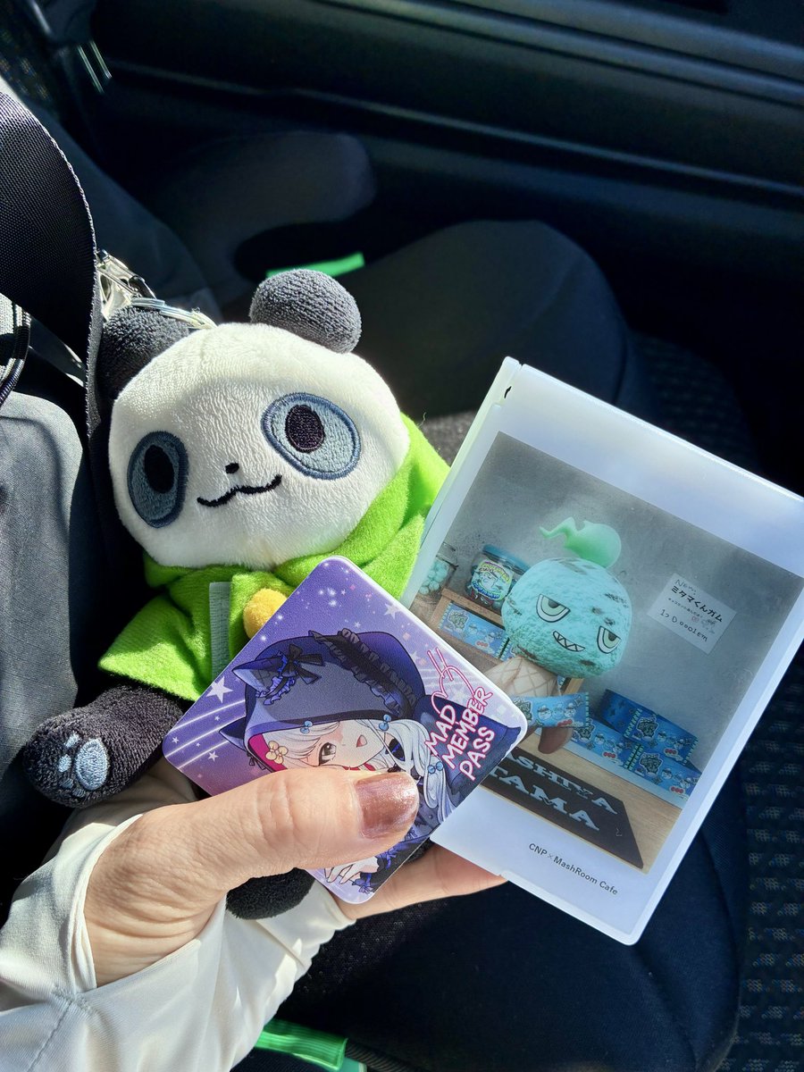 こじこじ🐼🐰CNPぬい旅部 tweet media