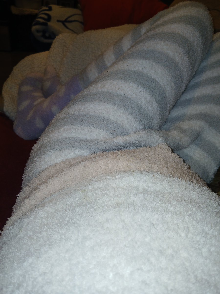 fuzzysockboy's tweet photo. #fuzzysocks #fuzzysocksfetish https://t.co/bBG6FzYAMg