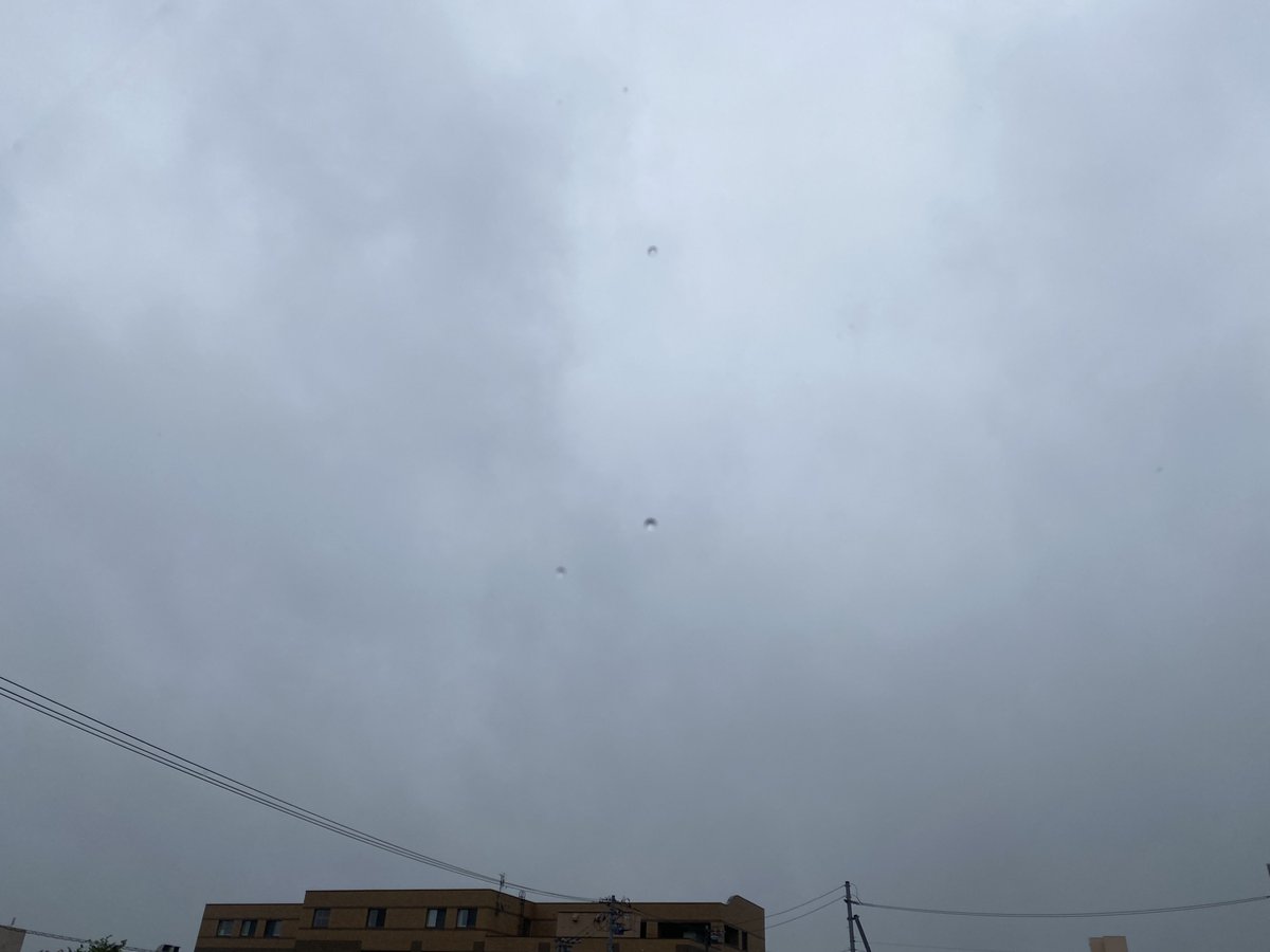 muumuuton's tweet photo. 雨降り…☔️おはよー☔️です☔️南風19℃  本日の最高気温は21℃です〜 冷たい雨…💧この涼しさ…熊本にお届けしたい…では!地震と熱中症には十分注意してください⚠️。。なっ朝… https://t.co/3dJbsC2Nee