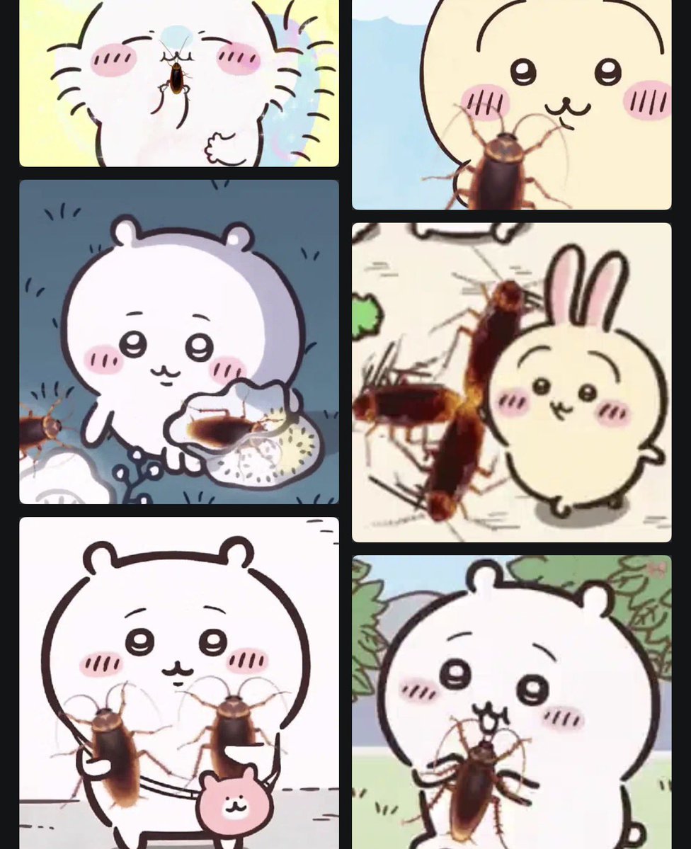 hamsterphobic's tweet photo. i love them all https://t.co/BUa9nTaymX