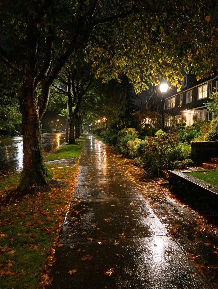 greenvibe's tweet photo. What happiness it is to listen to rain at night. https://t.co/lpttUoS0TZ