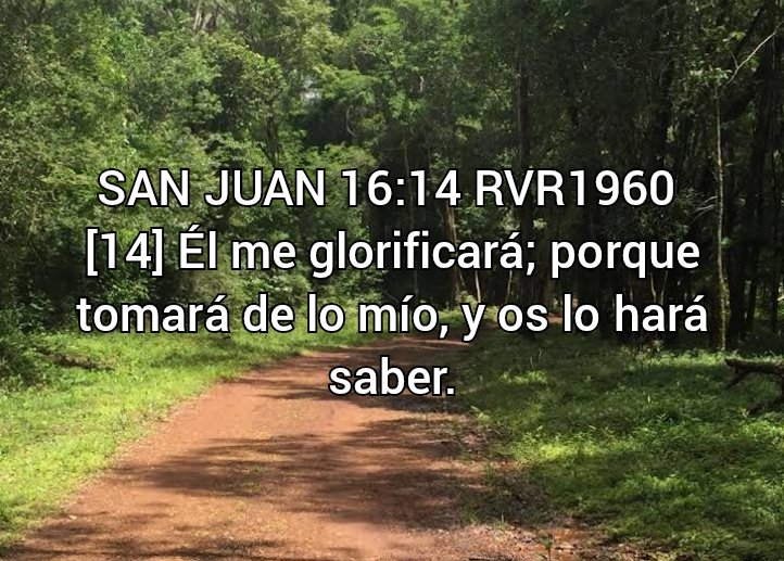 NEHEMIASLEAL's tweet photo. https://t.co/N7iSNiPLKj