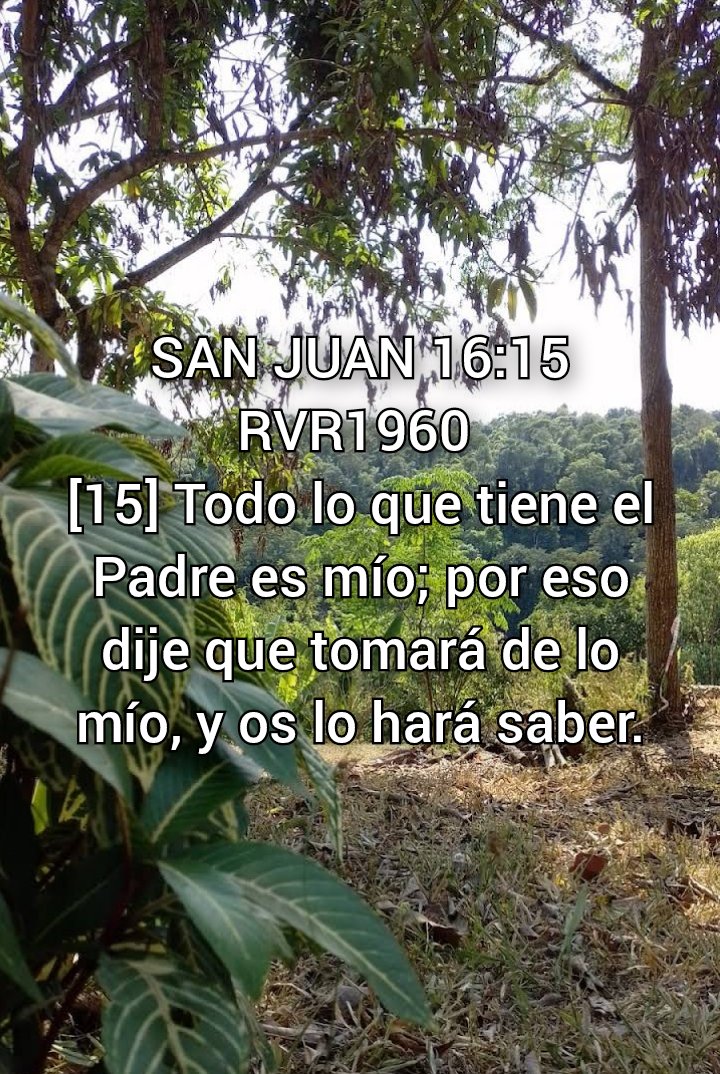 NEHEMIASLEAL's tweet photo. https://t.co/N7iSNiPLKj