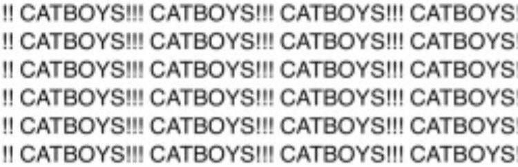 miffipaws's tweet photo. I LOVE CATBOYS 🤍🐾 https://t.co/n17olRGtnn